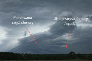 fot. Jarosław Turała